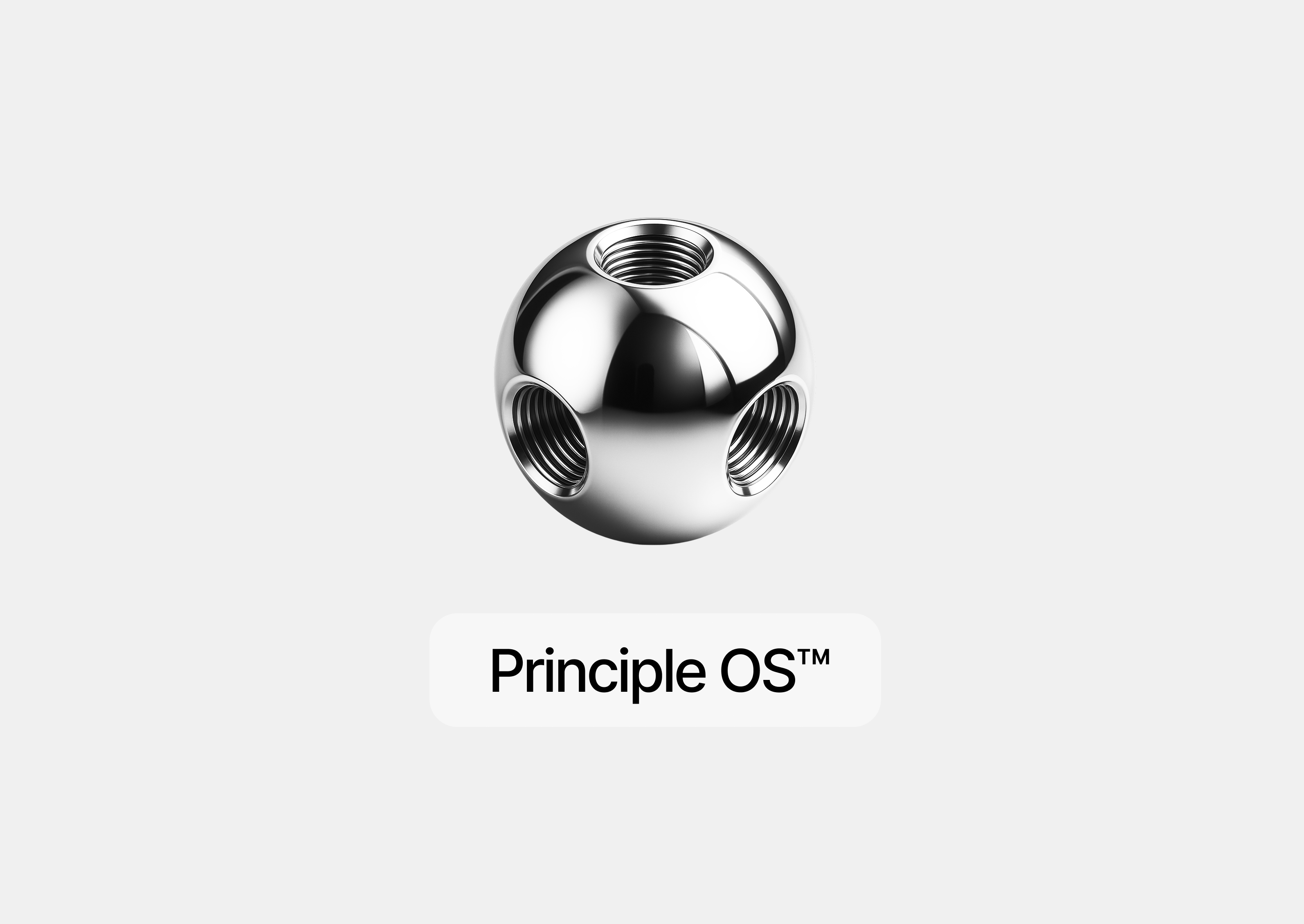 Cover Louislebras Principleos